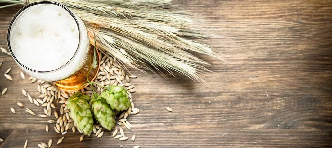 Humle från södra halvklotet