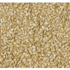 Extra Pale Maris Otter Malt (Crisp), krossad, 1 kg