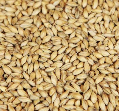 bokrökt kornmalt (Weyermann®), hel, 1 kg