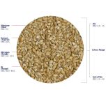 Maris Otter Ale Malt (Crisp), krossad, 1 kg