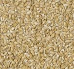 Extra Pale Maris Otter Malt (Crisp), krossad, 1 kg