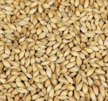 bokrökt kornmalt (Weyermann®), hel, 1 kg