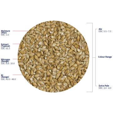 Maris Otter Ale Malt (Crisp), krossad, 1 kg