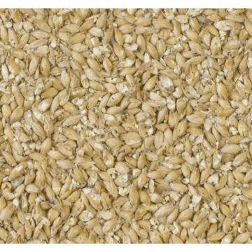 Extra Pale Maris Otter Malt (Crisp), krossad, 1 kg