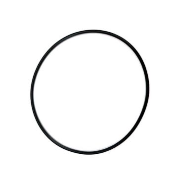 O-ring till Fermzilla