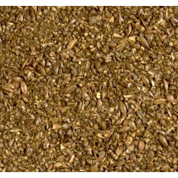 Low Colour Chocolate Malt (Crisp), krossad, 250 g