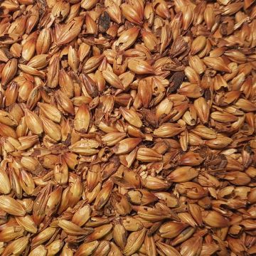 Caraaroma® (Weyermann®), krossad, 250 g