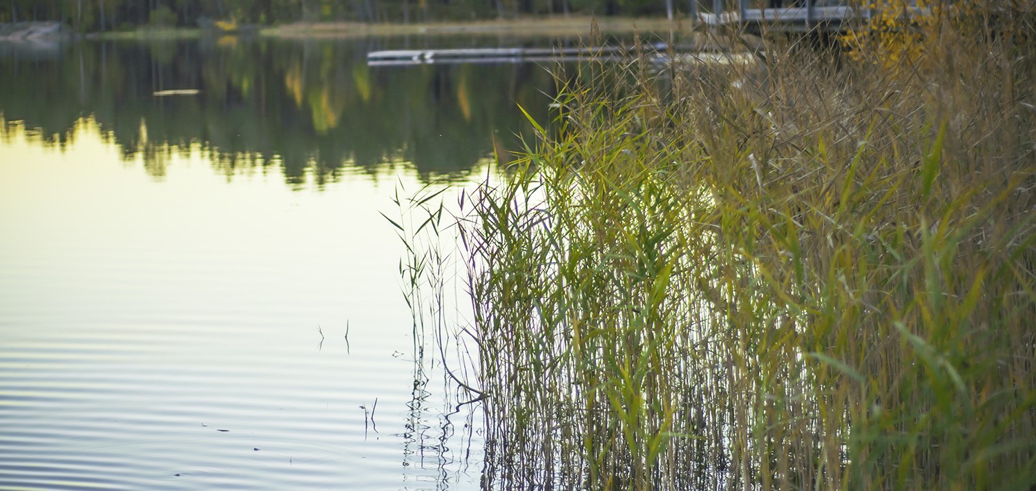 Mest av allt är det vatten