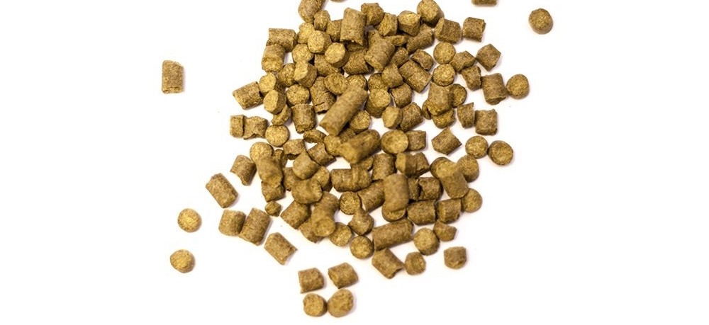 ​Torrhumla! Vad gör det för ölet?